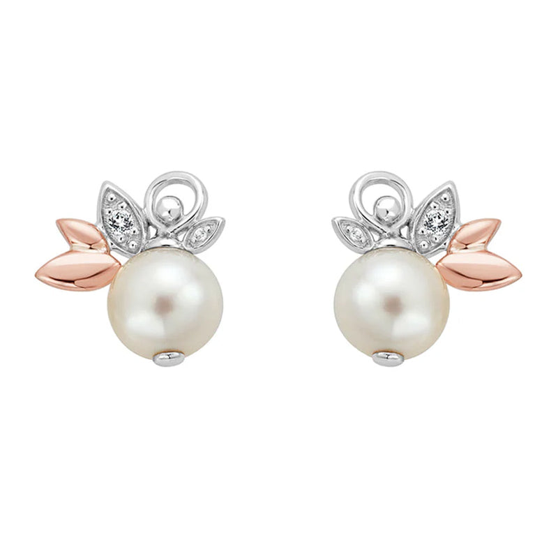 CLOGAU LILY OF THE VALLEY STUD